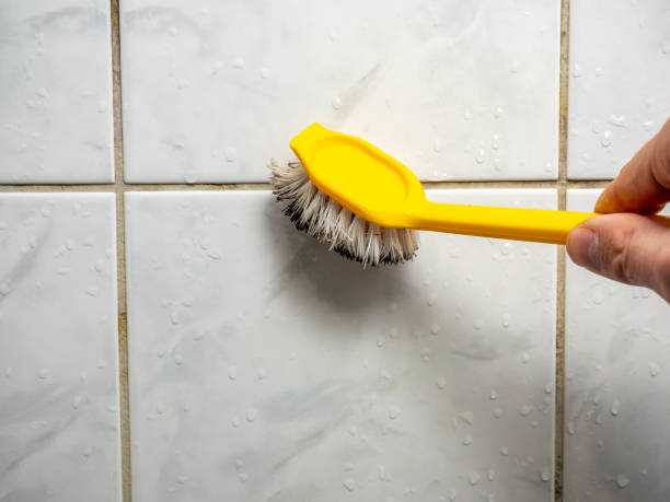 Best Mold Damage Repair  in Bunk Foss, WA