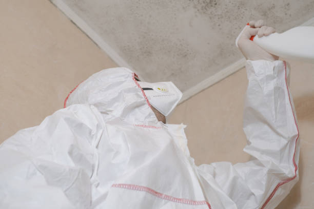 Best Crawl Space Mold Removal  in Bunk Foss, WA
