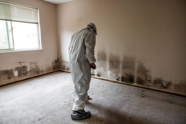 Water Damage Restoration in Bunk Foss, WA