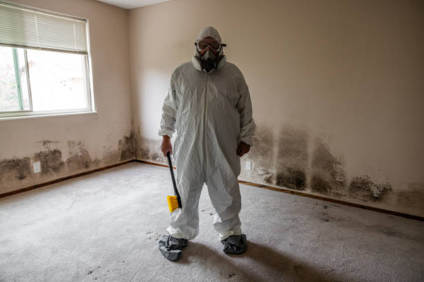 Best Certified Mold Removal  in Bunk Foss, WA