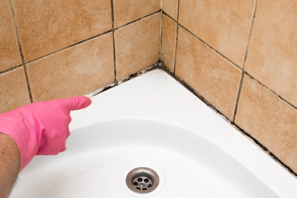 Best Mold Testing  in Bunk Foss, WA